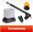 Torantriebe